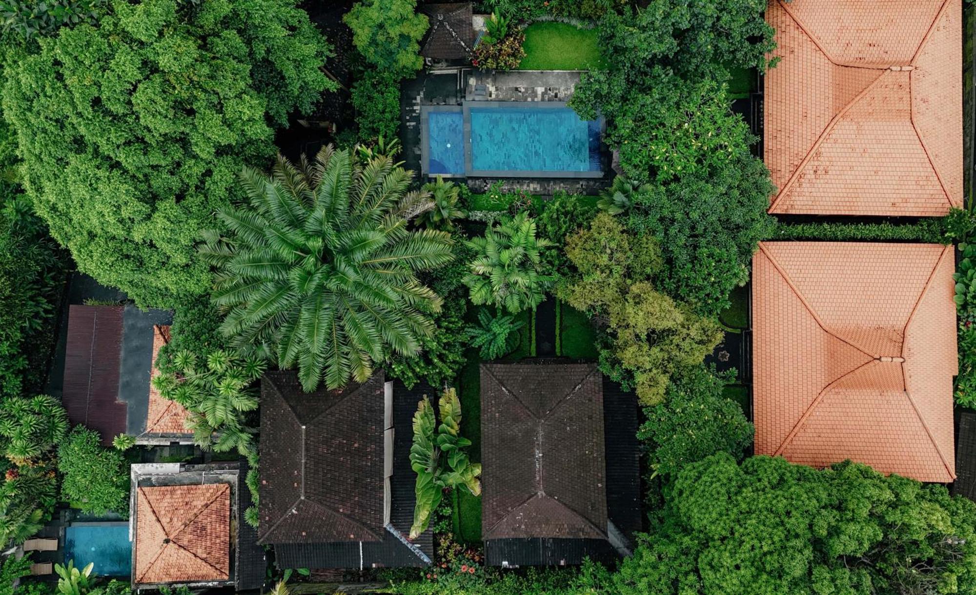 Sari Bamboo Villas Ubud Dış mekan fotoğraf